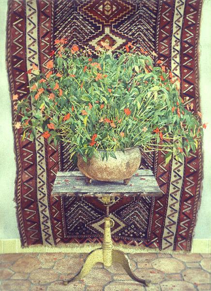 Oriental Rug & Impatiens 81.jpg